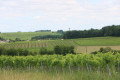 Paysage au Fief de la Chaille