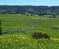Paysage autour de Chapelle des Bois