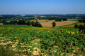Paysage autour de Polastron