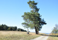 Paysage aux abords de la chapelle de Saint Jean del Frech