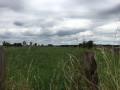 Paysage bocager