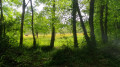 Paysage bucolique Paysage bucolique