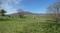 Paysage campagnard