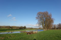 De Willems au Parc du Héron