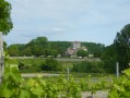 Paysage d'Ambleville