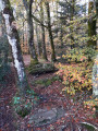 Paysage d'automne