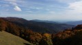 Paysage d'automne