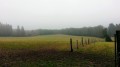 Paysage d'automne