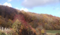 Paysage d'automne