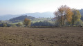 Paysage d'automne
