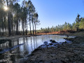 Paysage d'hiver en chemin