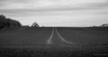 Paysage d'hiver