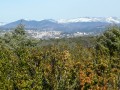 Paysage d'hiver