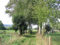 Paysage de bocage typiquement normand Paysage de bocage typiquement normand
