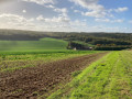Paysage de Bourgogne