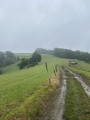 Paysage de campagne
