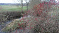Paysage de campagne