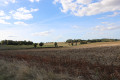 Paysage de ce coin du sud Deux-Sèvres
