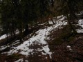 Paysage de fin d'hiver