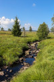 Paysage de la Baraque Michel