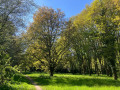 Paysage de la ceinture verte