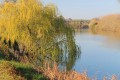 Paysage de la Nive