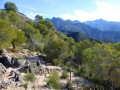 Du village Mauresque de Frigiliana à la grotte de Nerja