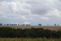Paysage de la Thi&eacute;rache