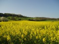 Parcours de 18km vers Saint-Symphorien d'Ozon