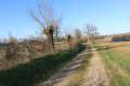 Paysage de plaine