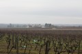 Paysage de Saintonge