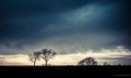 Paysage depuis Bel Air