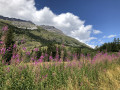 paysage depuis la chapelle saint etienne