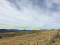 Paysage du Carladès : les sommets du Volcan Cantalien