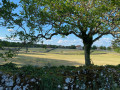 Paysage du causse