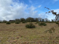 Paysage du causse