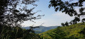 Paysage du lacaunais