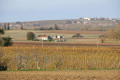 Paysage en direction de Brie sous Archiac