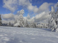 Paysage enneigé avec la chaine des Vosges