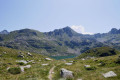 Paysage