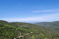 Paysage forestier