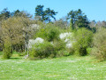 Paysage printannier