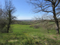 Paysage rural