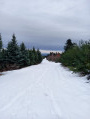 paysage sous la neige
