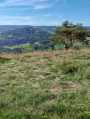 paysage sur le Mont Sémiol