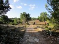 Paysage sur le sentier