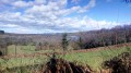 paysage sur le retour