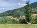 Paysage tranquille depuis le Circuit des moulins