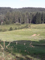Paysage typique ardéchois