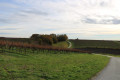 paysage vallonné de la campagne après Peulbert